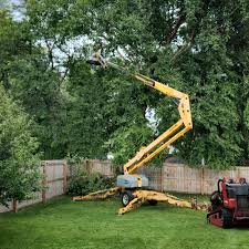 Best Tree Removal  in Washington Court House, OH