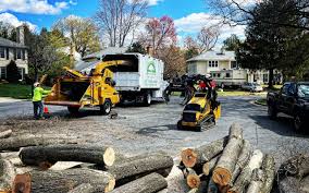 Best Seasonal Cleanup (Spring/Fall)  in Washington Court House, OH