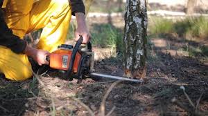 Best Hazardous Tree Removal  in Washington Court House, OH