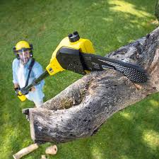 Best Lawn Disease Treatment  in Washington Court House, OH