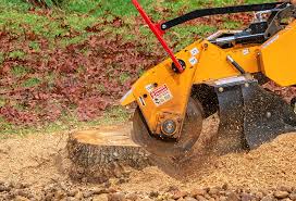 Best Tree Preservation Services  in Washington Court House, OH