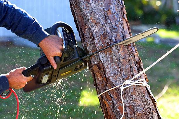 Best Aeration Services  in Washington Court House, OH