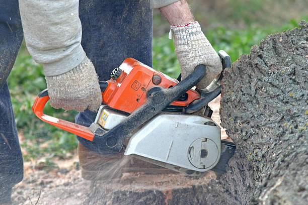Best Lawn Watering Services  in Washington Court House, OH